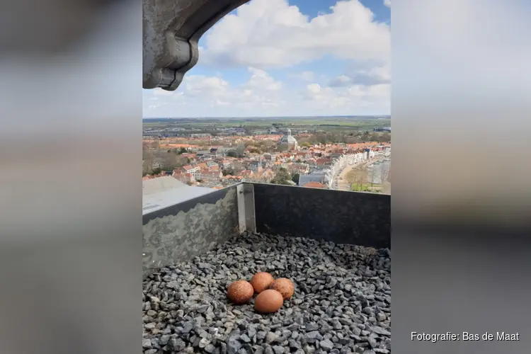 Tijdelijk niet vlaggen vanaf de Lange Jan