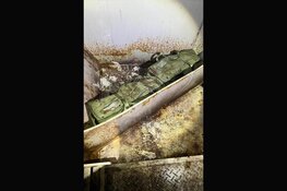 Douane onderschept 54 kilo cocaïne in haven Vlissingen