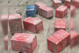 Douane onderschept 656 kilo cocaïne in haven Vlissingen