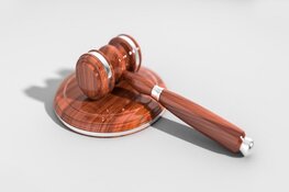 Doodsteken Rainee Laveist: gevangenisstraf en jeugd-tbs geëist