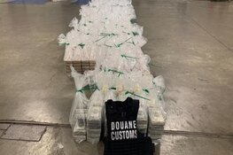 Zeehavenpolitie verricht aanhouding na miljoenenvangst door Douane