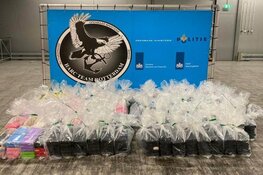 Verdachte situatie leidt tot cocaïnevangst op de Westerschelde