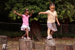 Subsidieregeling geopend voor vergroenen Zeeuwse basisscholen