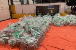 Forse hoeveelheid cocaïne onderschept in haven Vlissingen