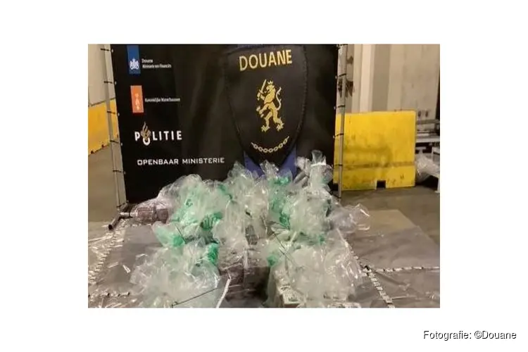 Douane vindt 600 kilo cocaïne tussen bananen in Vlissingen