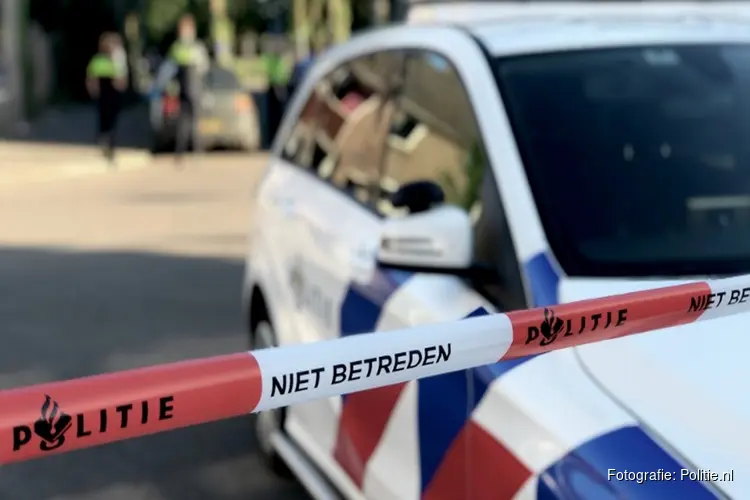 Bestuurder ramt geparkeerde auto en woning