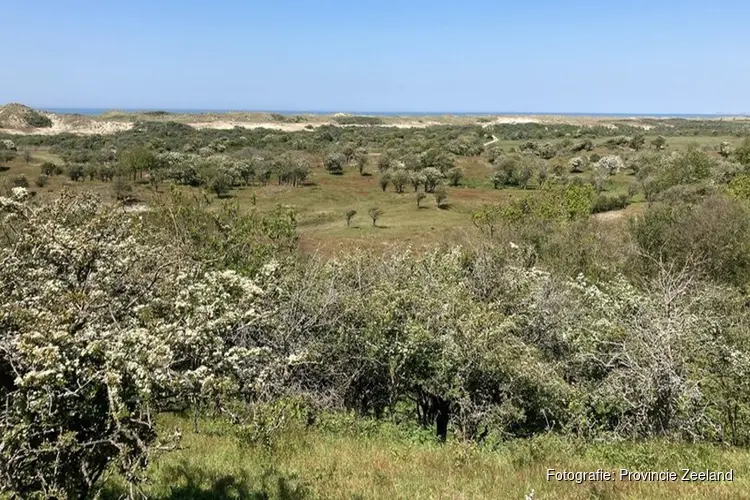 Beheerplan Natura 2000 Manteling van Walcheren vastgesteld
