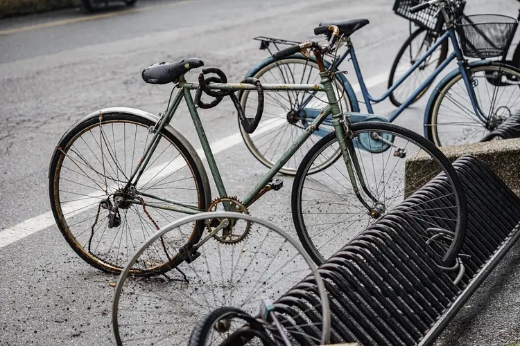Ophaaldagen geruimde fietsen