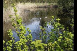 Het Klimaatexamen komt naar Zeeland