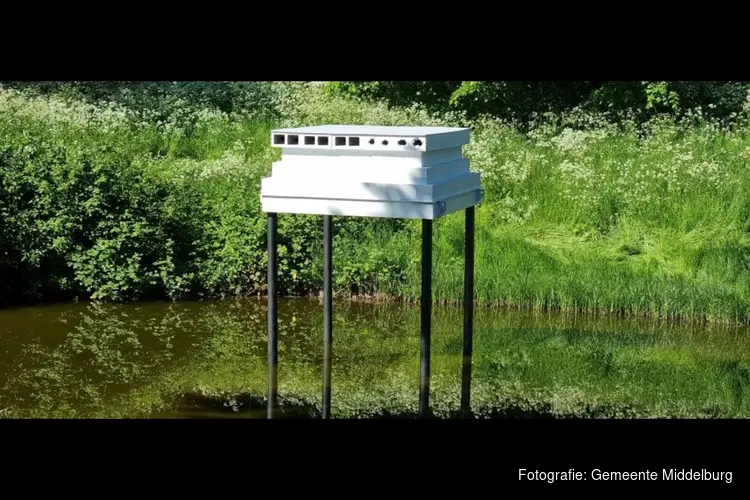 Plaatsing vleermuiskasten