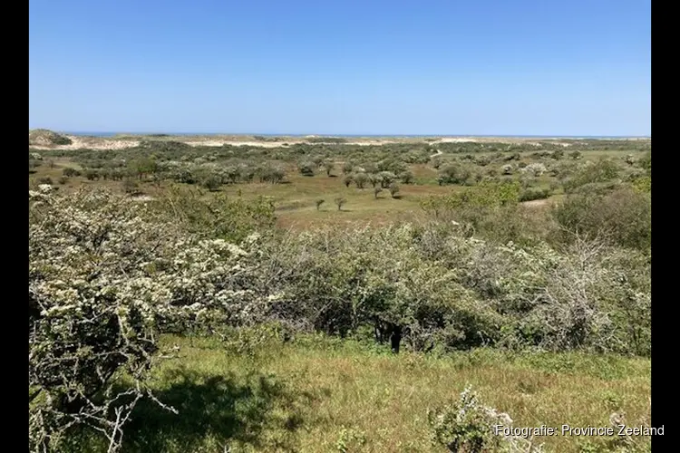 Provincie stelt nieuw Natura 2000-beheerplan vast voor Manteling van Walcheren