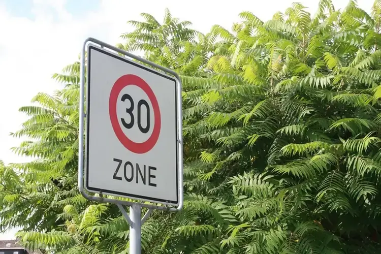 Twee extra snelheidsremmers op de Dauwendaelselaan