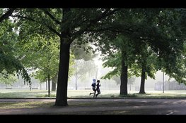 Zeeuwen steeds minder actief: minder dan helft voldoet aan beweegrichtlijn