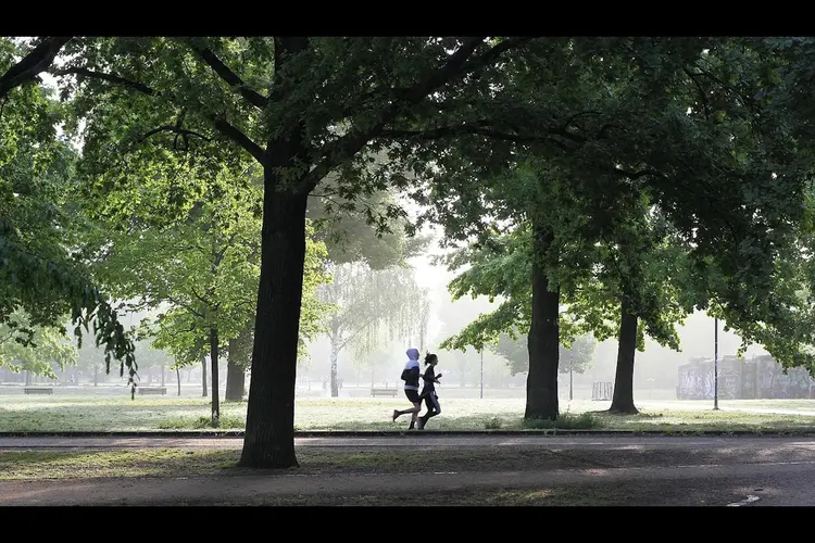 Zeeuwen steeds minder actief: minder dan helft voldoet aan beweegrichtlijn