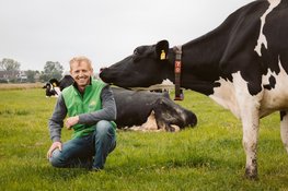 Campina Open Boerderijdagen 2026: boerderijen in Zeeland open voor publiek