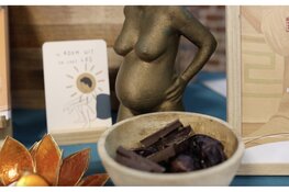 Kennis, inspiratie en ontmoetingen tijdens  Het Geboorte Event Goes op 20 mei 2026