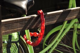 Forse stijging fietsendiefstal in Zeeland: +79,6% sinds 2021