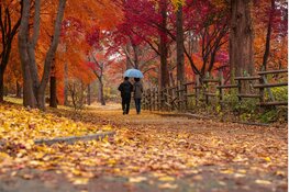 Wisselvalligheid blijft aanhouden bij temperaturen rond 20 graden